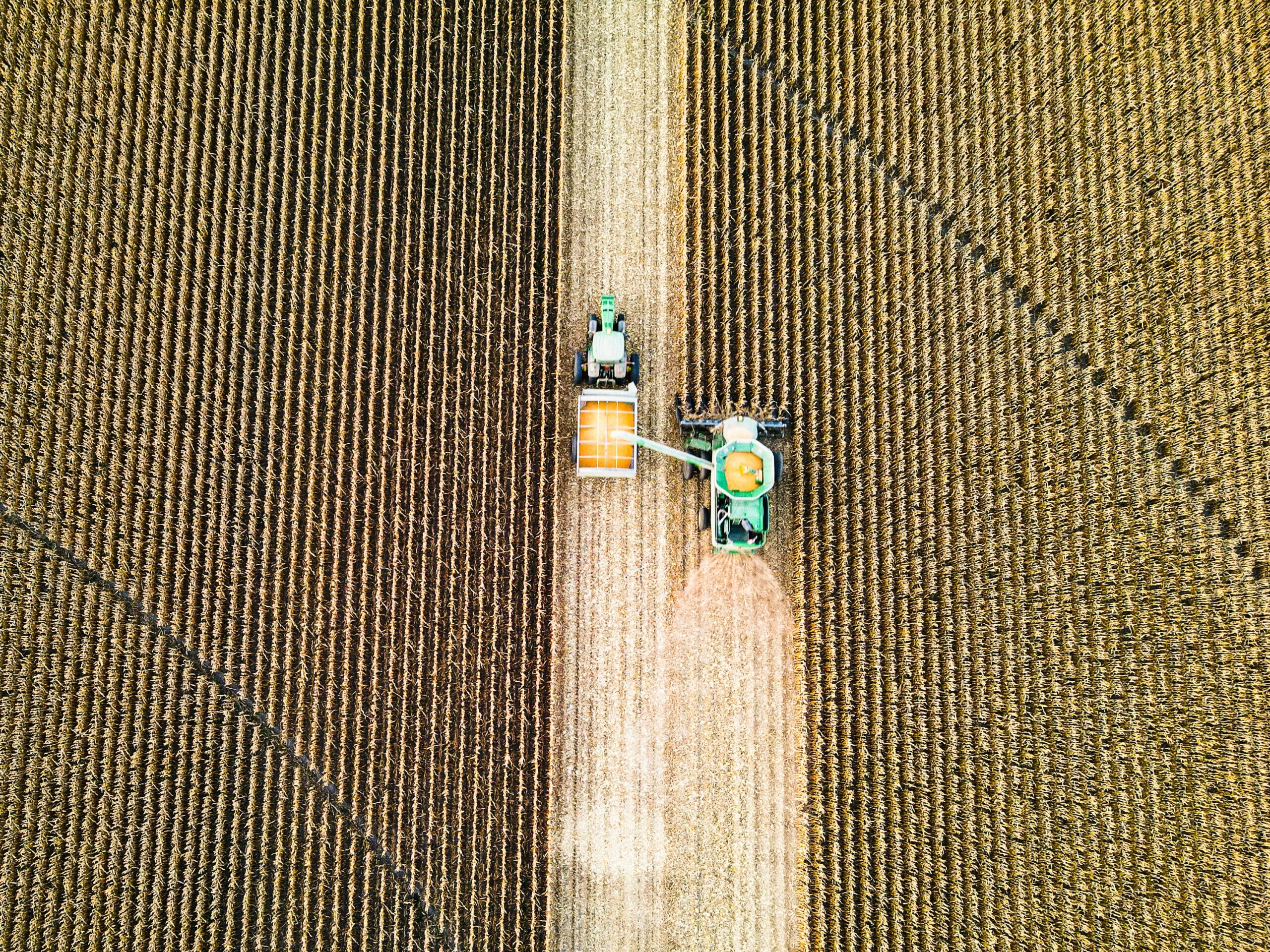 Blogpost | The next Haber-Bosch moment: It’s Time to Reinvent Fertilizer Production