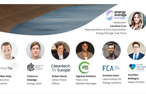 Watch the Recording! Webinar “The Missing Link: Long Duration Energy Storage and the Future of Europe’s Energy Security”