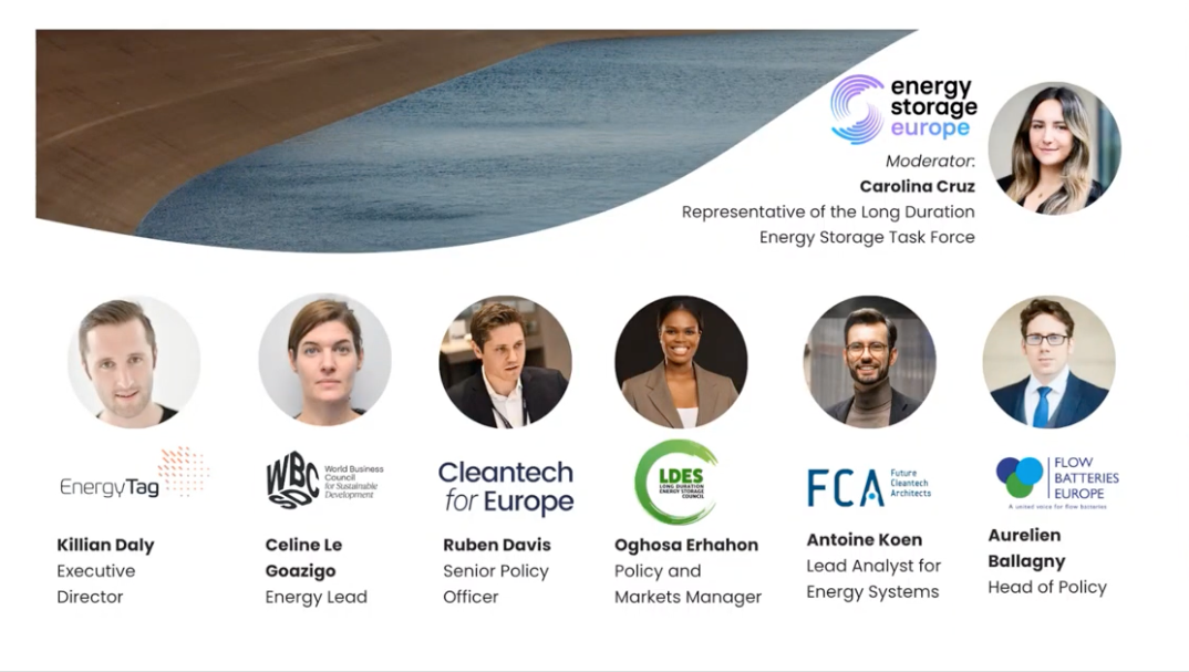 Watch the Recording! Webinar “The Missing Link: Long Duration Energy Storage and the Future of Europe’s Energy Security”