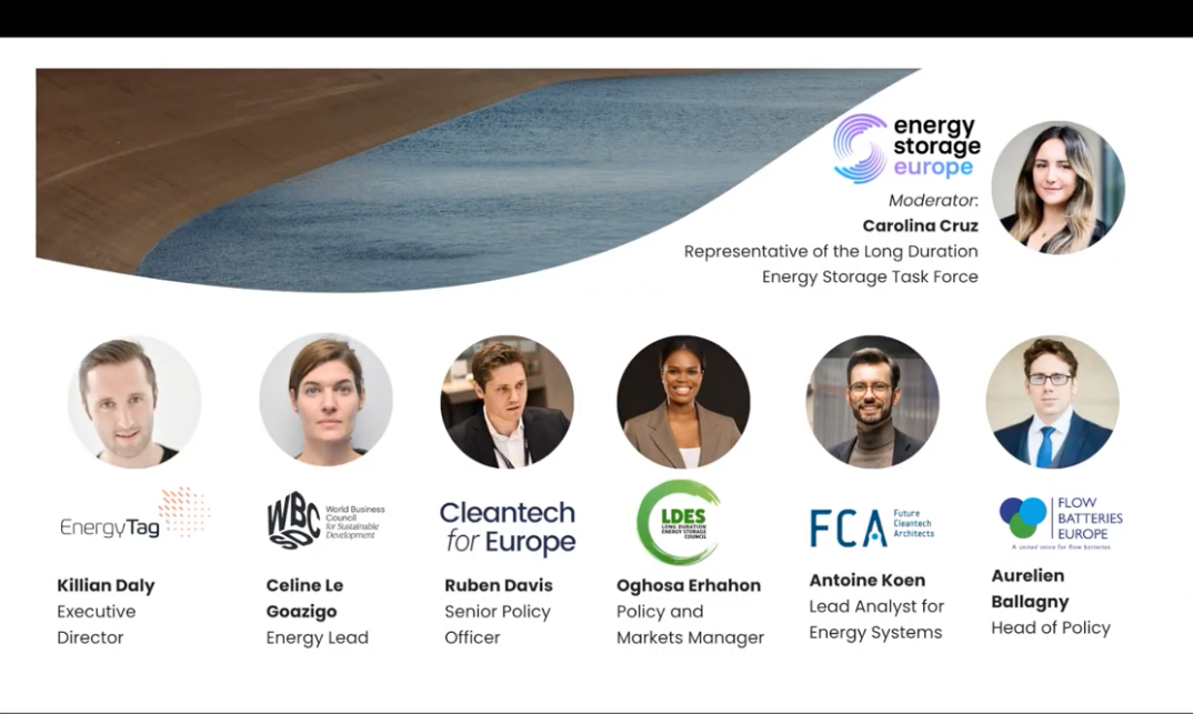 Watch the Recording! Webinar “The Missing Link: Long Duration Energy Storage and the Future of Europe’s Energy Security”